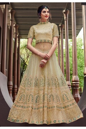 Light green net embroidered long choli lehenga  1645